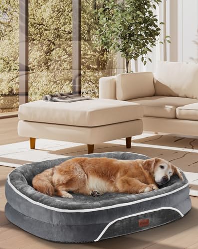 Pamper Your Pup: The OhGeni Orthopedic Dog Bed That Redefines Comfort for Large Dogs